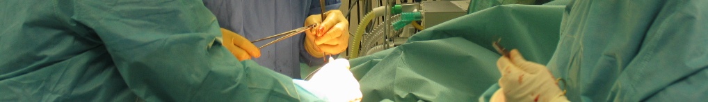 Intervento chirurgico in sala operatoria presso la Clinica Urologica di Palermo